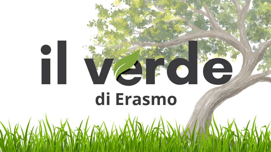 Il Verde di Erasmo
